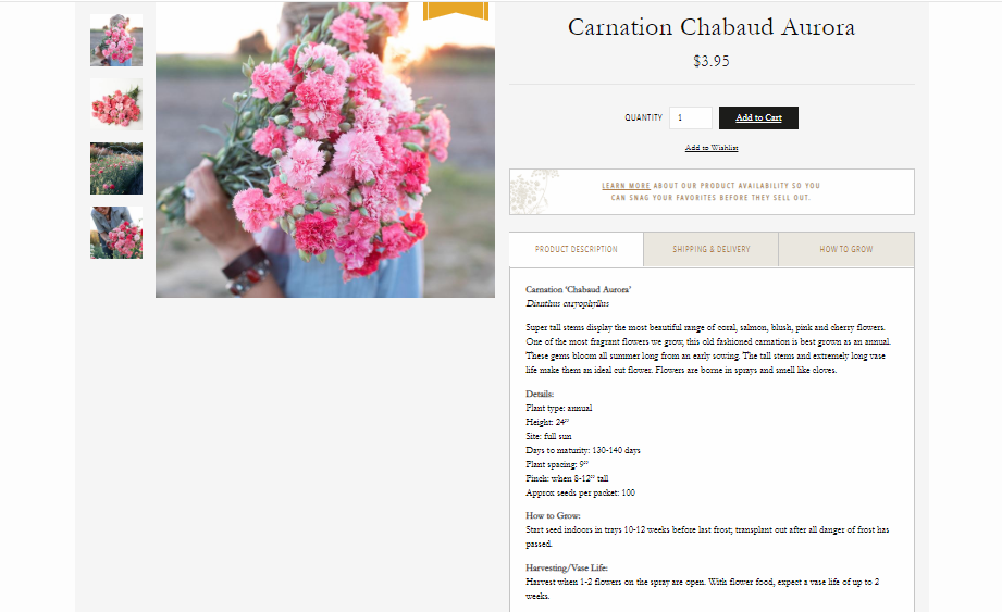  Floret Flowers gives all the details on their  Carnation Chabaud Aurora  seeds you’d find helpful if you’re planning a flower garden. (I’ve zoomed out here, but don’t worry - the copy is legible on their site) 